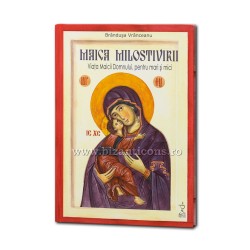 71-794 Maica Milostivirii. Viata Maicii Domnului pentru mari si mici (contine CD mp3) - Brandusa Vranceanu