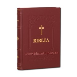 73-55 Biblia A4 in piele naturala grena