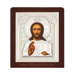 13-223-001 icoana lemn + plastic 18x21x1,5 cm - M Pantocaror 60/bax