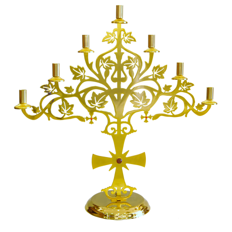 SFESNIC MASA 7 brate - ulei aurita O 68-725