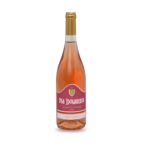 Vin Merlot - roze sec 12,5% - ed. lim. 2023 750 ml - JR 962-38