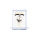 41-m15 colier ata - inima - piatra + cruce 24/cutie