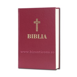 71-293 BIBLIA Centenar - 17x25 - MARO - mare